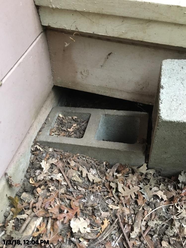 Skunk entry point crawlsapce